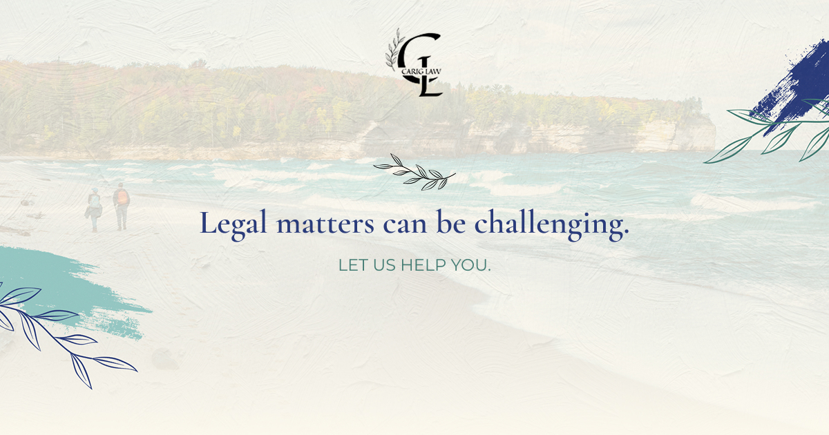 Carig Law - service preview